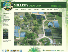 Tablet Screenshot of millersgroundcover.com